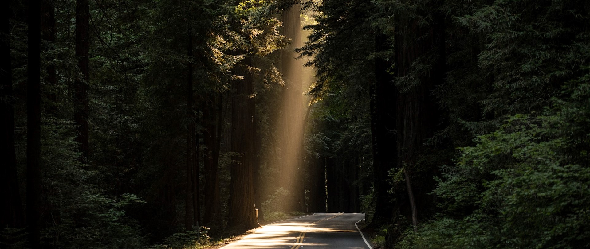 Revista Dnews – Agosto e Setembro – 2022