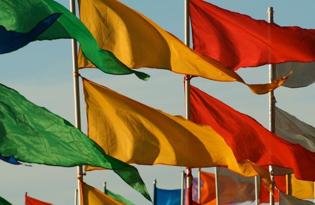 Revista Dnews Outubro 2024